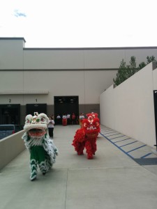 Chinese Lion Dance.